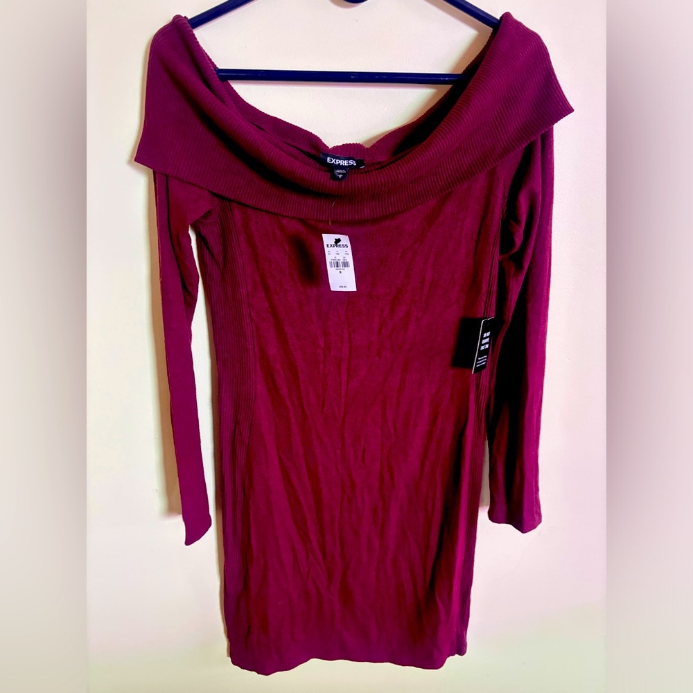 Express Sweater Dress